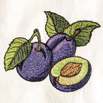Zwetschgen Stickdatei 10 x 10 cm