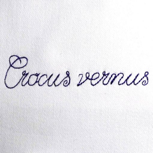Schriftzug Crocus Vernus